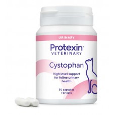 Cystophan till katt - urinvägsproblem